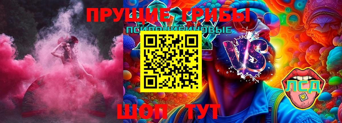 Псилоцибиновые грибы GOLDEN TEACHER Бутурлиновка