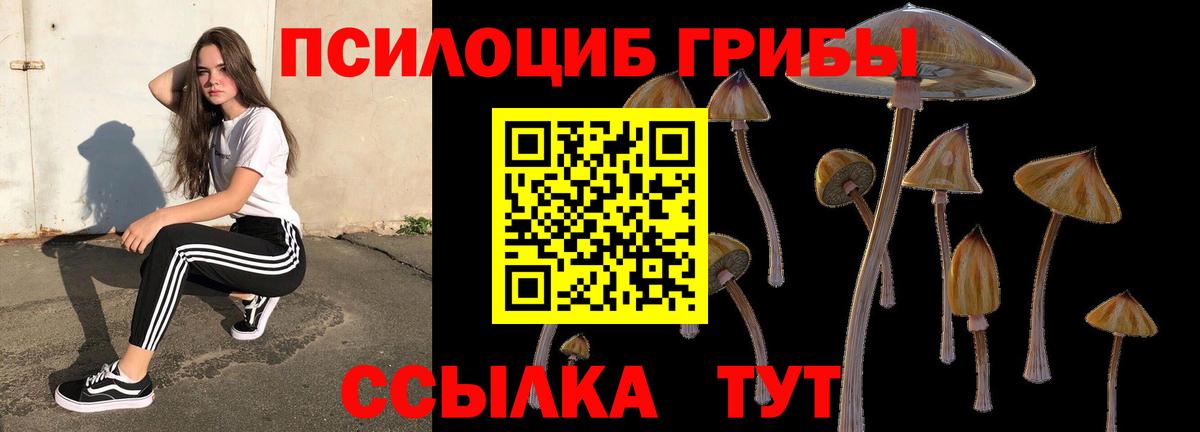 Псилоцибиновые грибы Psilocybe  Вход с VPN  Бутурлиновка 